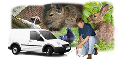 Castleford local van